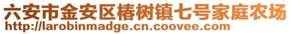 六安市金安區椿樹鎮七號家庭農場