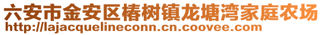 六安市金安區(qū)椿樹鎮(zhèn)龍?zhí)翞臣彝マr場
