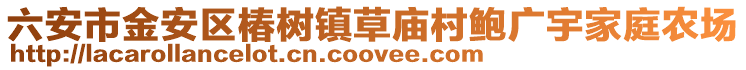 六安市金安區椿樹鎮草廟村鮑廣宇家庭農場