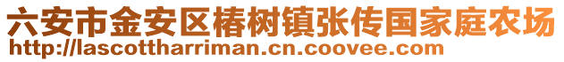 六安市金安區椿樹鎮張傳國家庭農場