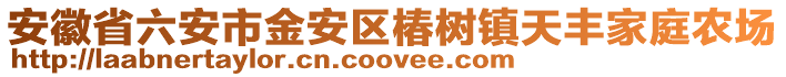 安徽省六安市金安區(qū)椿樹(shù)鎮(zhèn)天豐家庭農(nóng)場(chǎng)