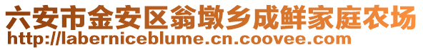 六安市金安區翁墩鄉成鮮家庭農場
