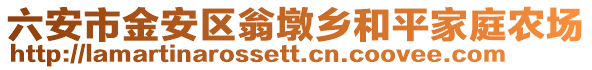 六安市金安區翁墩鄉和平家庭農場