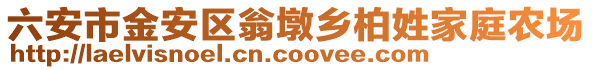 六安市金安區翁墩鄉柏姓家庭農場