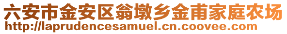 六安市金安區翁墩鄉金甫家庭農場