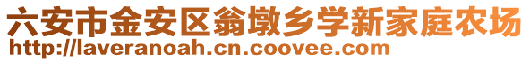 六安市金安區翁墩鄉學新家庭農場