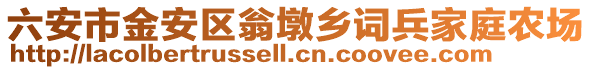 六安市金安區翁墩鄉詞兵家庭農場