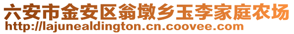 六安市金安區(qū)翁墩鄉(xiāng)玉李家庭農(nóng)場(chǎng)