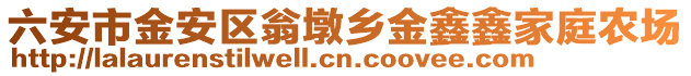 六安市金安區翁墩鄉金鑫鑫家庭農場