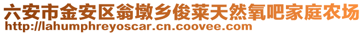 六安市金安區(qū)翁墩鄉(xiāng)俊萊天然氧吧家庭農(nóng)場(chǎng)