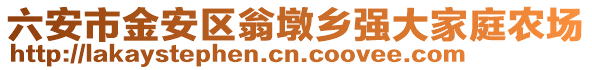 六安市金安區(qū)翁墩鄉(xiāng)強大家庭農(nóng)場