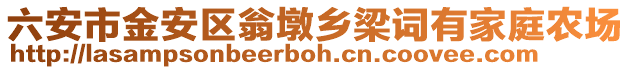 六安市金安區翁墩鄉梁詞有家庭農場