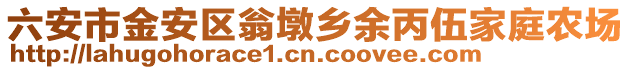 六安市金安區(qū)翁墩鄉(xiāng)余丙伍家庭農(nóng)場