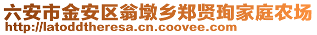 六安市金安區翁墩鄉鄭賢珣家庭農場