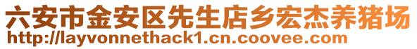 六安市金安區先生店鄉宏杰養豬場