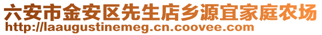 六安市金安區先生店鄉源宜家庭農場