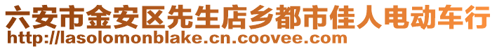 六安市金安區(qū)先生店鄉(xiāng)都市佳人電動車行