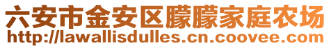 六安市金安區(qū)朦朦家庭農(nóng)場