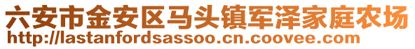 六安市金安區馬頭鎮軍澤家庭農場