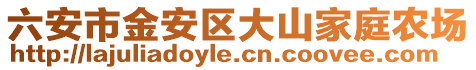 六安市金安區大山家庭農場