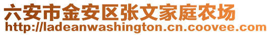 六安市金安區張文家庭農場