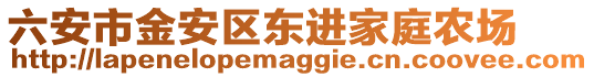 六安市金安區東進家庭農場