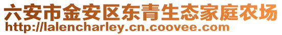 六安市金安區東青生態家庭農場