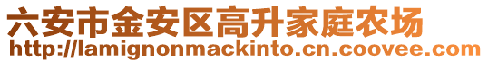 六安市金安區(qū)高升家庭農(nóng)場(chǎng)