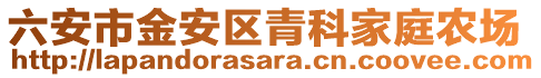 六安市金安區青科家庭農場