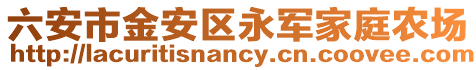 六安市金安區永軍家庭農場