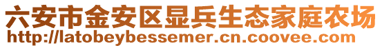 六安市金安區(qū)顯兵生態(tài)家庭農(nóng)場