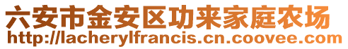 六安市金安區(qū)功來家庭農場