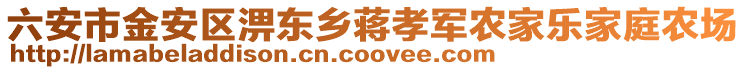 六安市金安區淠東鄉蔣孝軍農家樂家庭農場