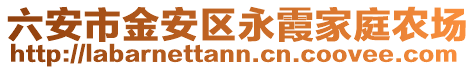 六安市金安區永霞家庭農場
