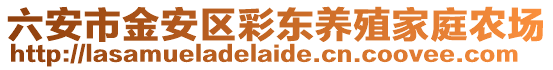 六安市金安區彩東養殖家庭農場