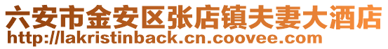 六安市金安區張店鎮夫妻大酒店