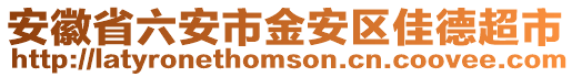 安徽省六安市金安區佳德超市