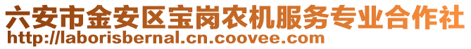 六安市金安區(qū)寶崗農(nóng)機(jī)服務(wù)專業(yè)合作社