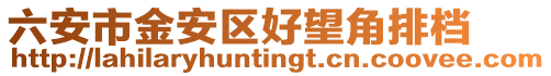 六安市金安區好望角排檔