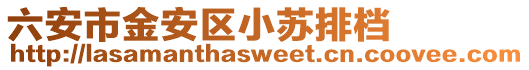 六安市金安區小蘇排檔