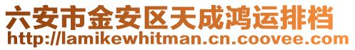 六安市金安區天成鴻運排檔
