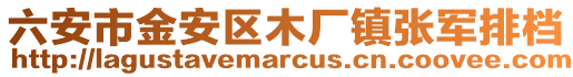 六安市金安區木廠鎮張軍排檔