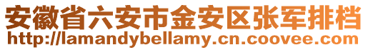安徽省六安市金安區張軍排檔