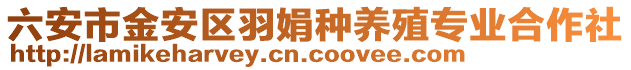 六安市金安區(qū)羽娟種養(yǎng)殖專業(yè)合作社