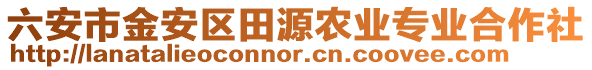 六安市金安區田源農業專業合作社