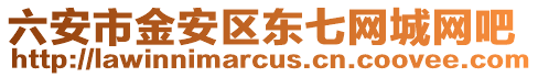 六安市金安區東七網城網吧