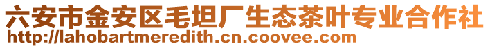 六安市金安區(qū)毛坦廠生態(tài)茶葉專業(yè)合作社