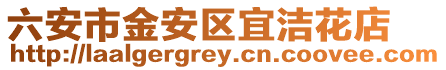 六安市金安區宜潔花店