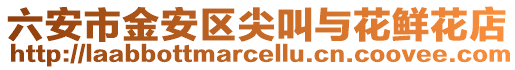 六安市金安區尖叫與花鮮花店