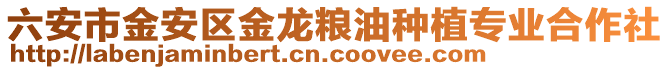 六安市金安區(qū)金龍糧油種植專業(yè)合作社